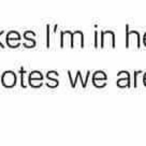 Meet your Posher, Misty